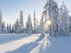 Winterwunderland Winterwunderland